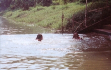 Devotees bathing in the Bhargavi (Ganga)